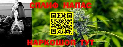 сатива Будённовск