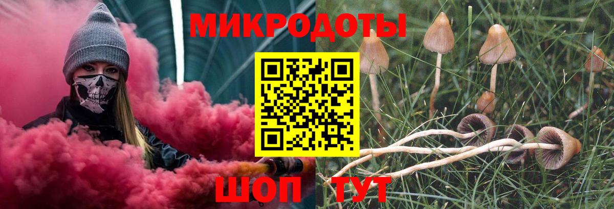 Псилоцибиновые грибы Psilocybe  Вход с VPN  Осинники 